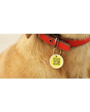 Collar Tag (pack of 10) $20 ($2 each)